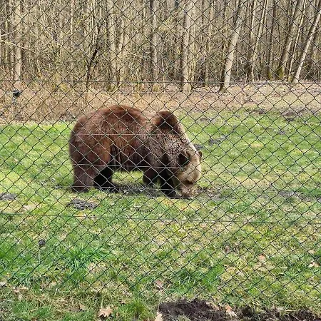 Urlaub Auf Dem Bauernhof Mit Garten Und Terrasse Im Gruenen * Ganzlin