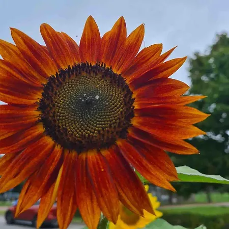 Feriehus Urlaub Auf Dem Bauernhof Mit Garten Und Terrasse Im Gruenen Ganzlin