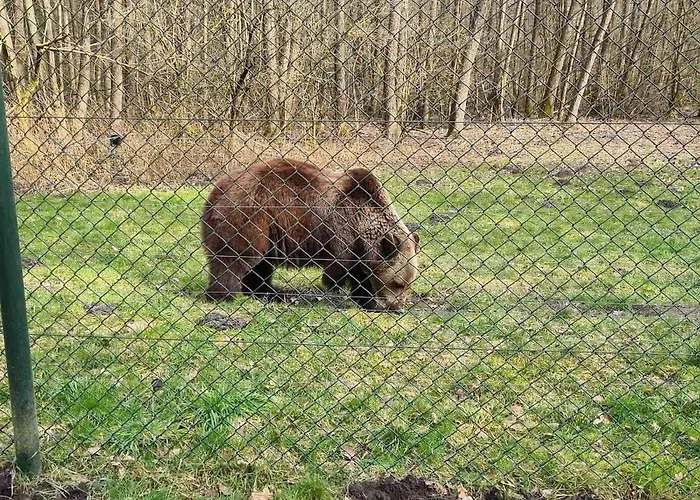 Urlaub Auf Dem Bauernhof Mit Garten Und Terrasse Im Gruenen * Ganzlin
